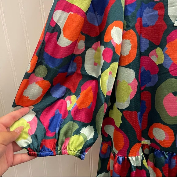 NWT Emily McCarthy Bella Dress in Winter Pop Cheetah Sz XL - Picture 6 of 13